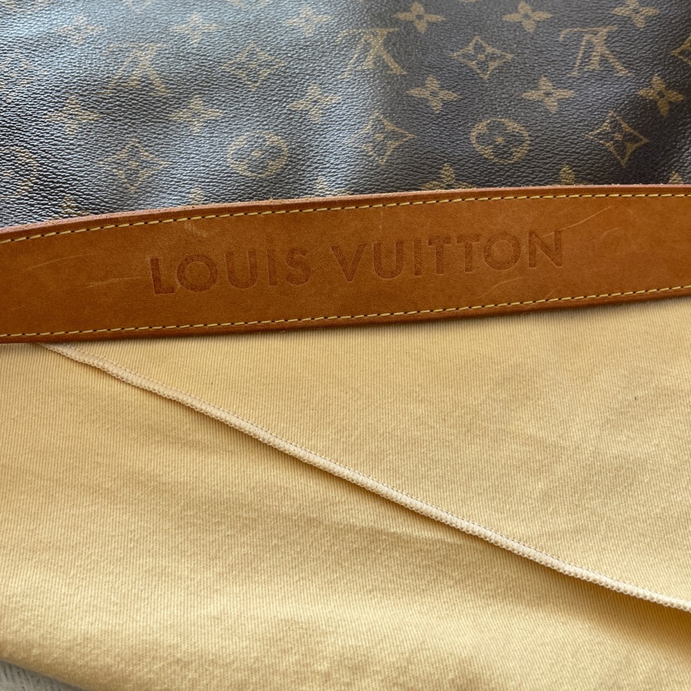 Louis Vuitton Delightful MM - Picture 13 of 16